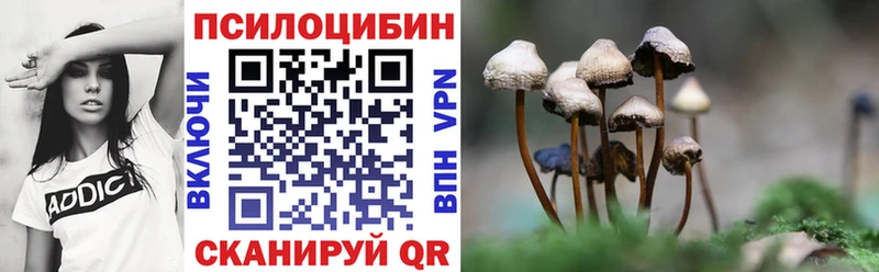 Купить где  Дмитров  Псилоцибиновые грибы MAGIC MUSHROOMS 