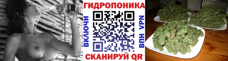 Купить закладки  Дмитров  Каннабис марихуана 